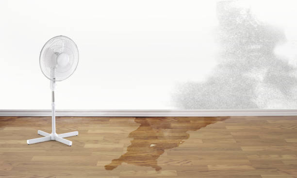 Best Flooded house restoration  in West Glens Falls, NY